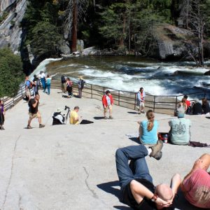 World’s amazing destinations for vegans